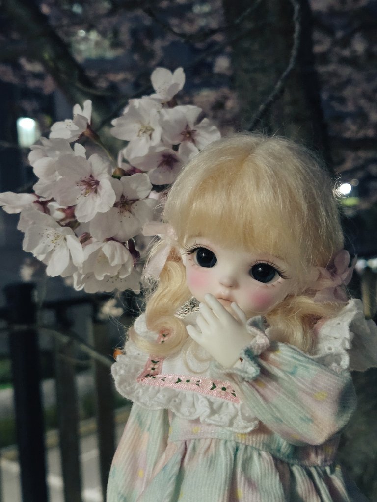 아한🍤 tweet media