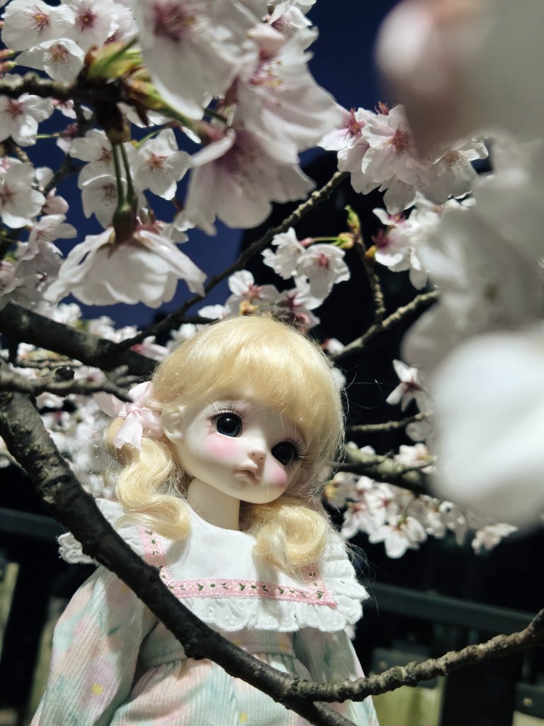 아한🍤 tweet media