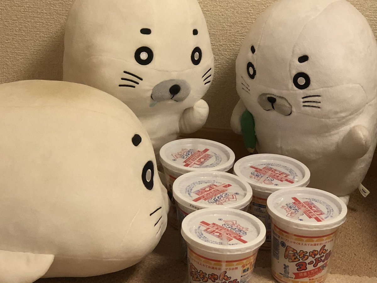 ガリ勉アザラシ tweet media