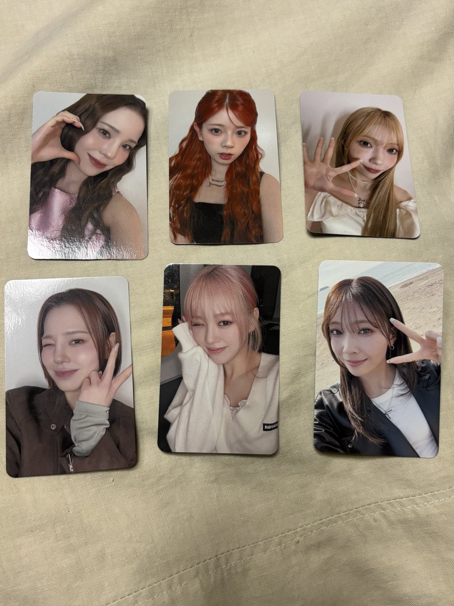 まやひめ tweet media