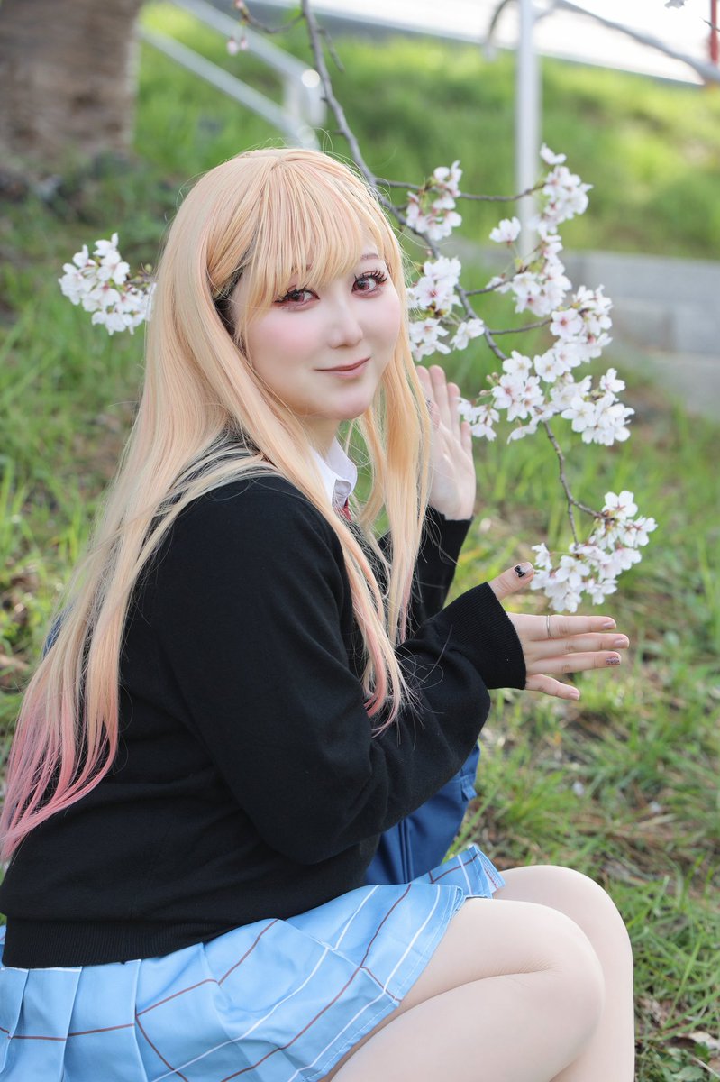 こだま。 tweet media