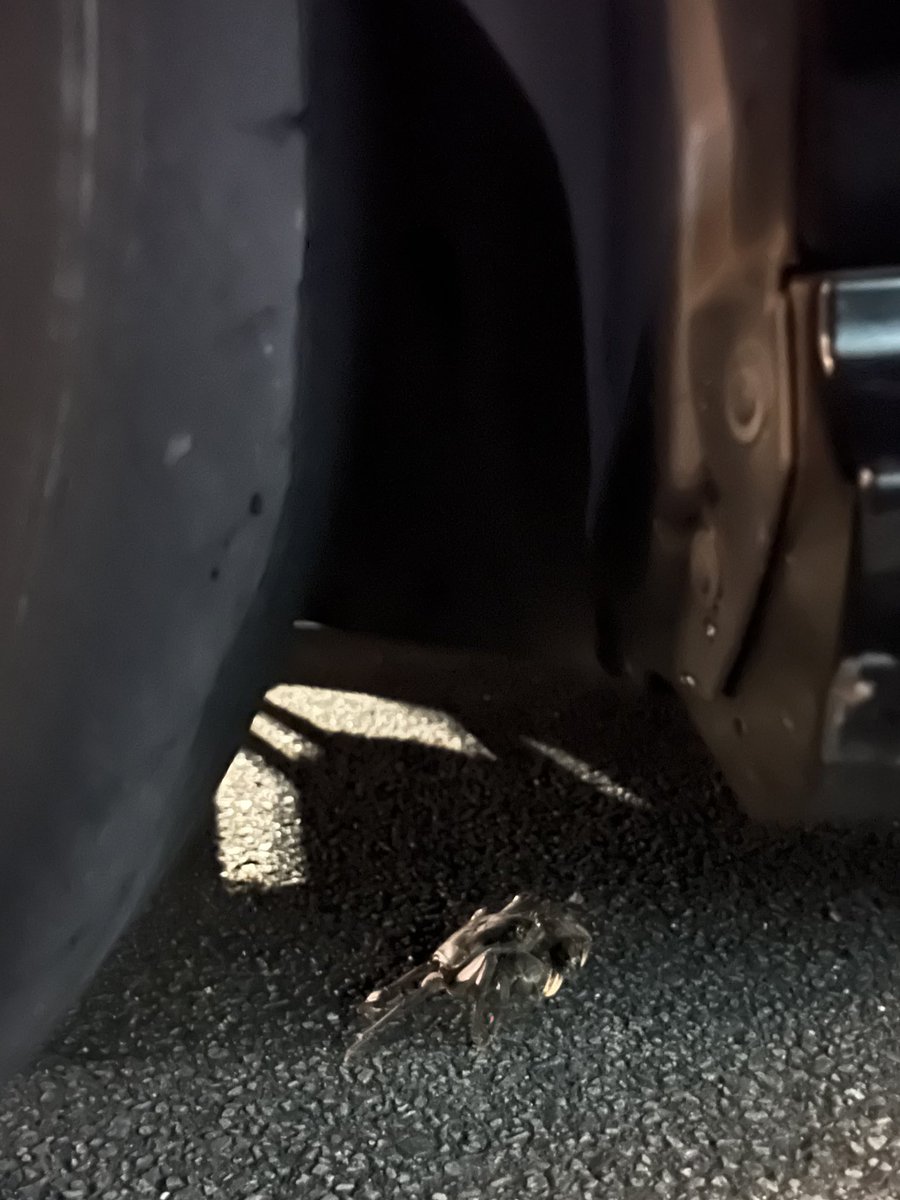 足先冷太郎 tweet media