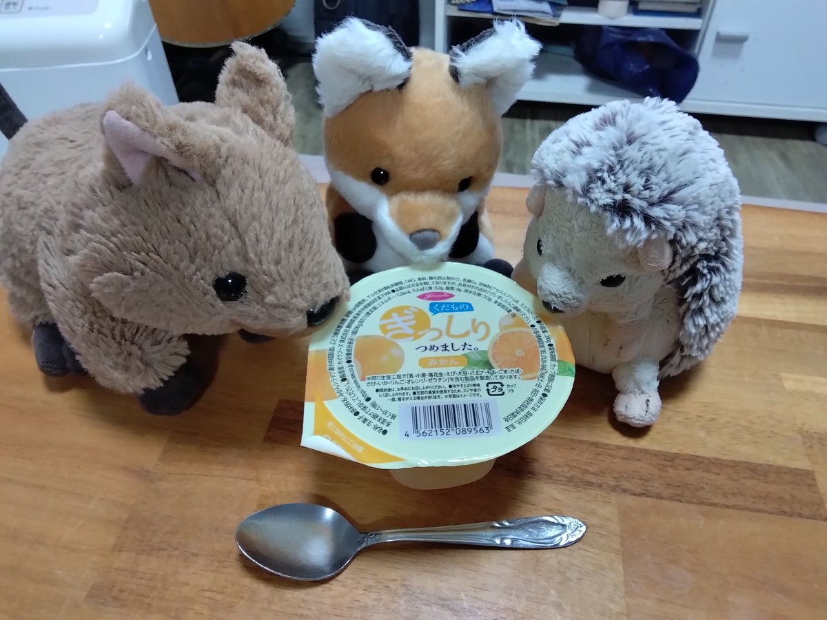 にゃー吉 tweet media