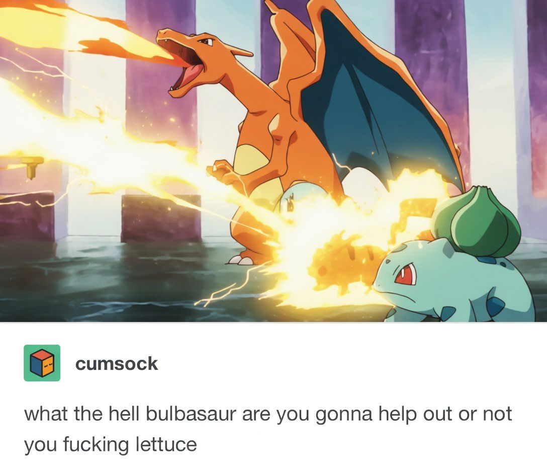 Pokémon Daily tweet media