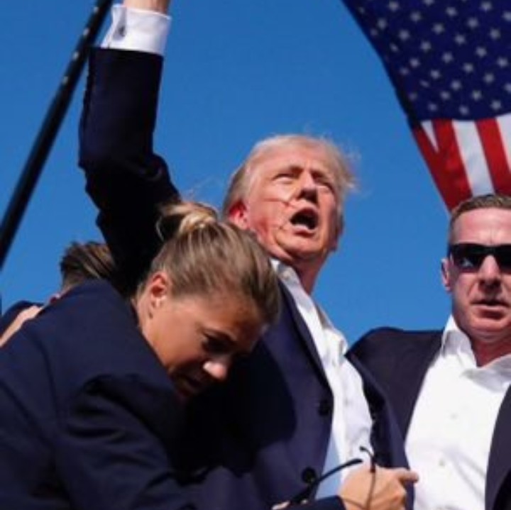 Ultra MAGA Joyce Day tweet media