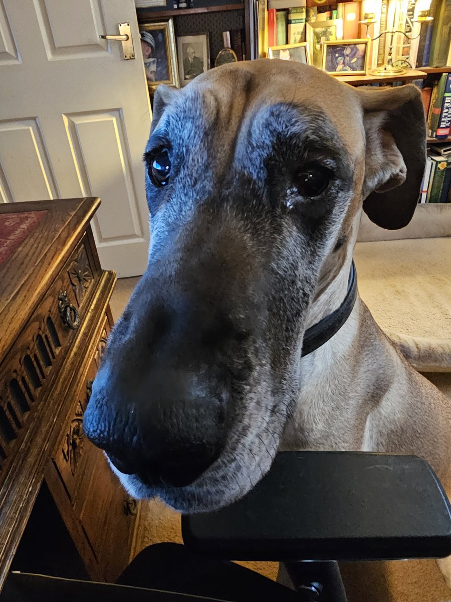 Sally Swaffield tweet media