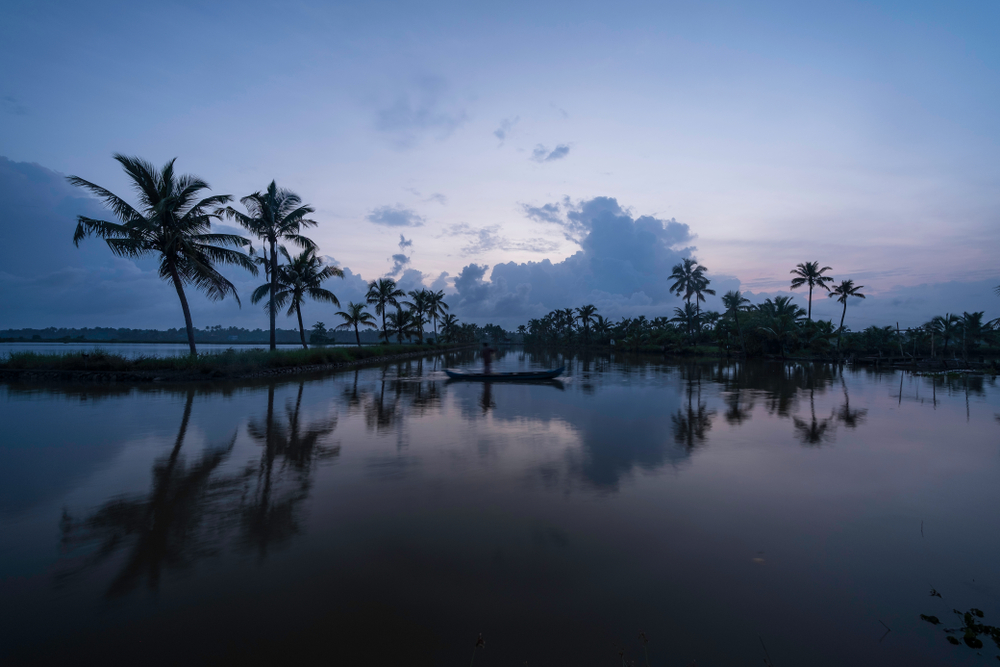 Kerala Tourism tweet media