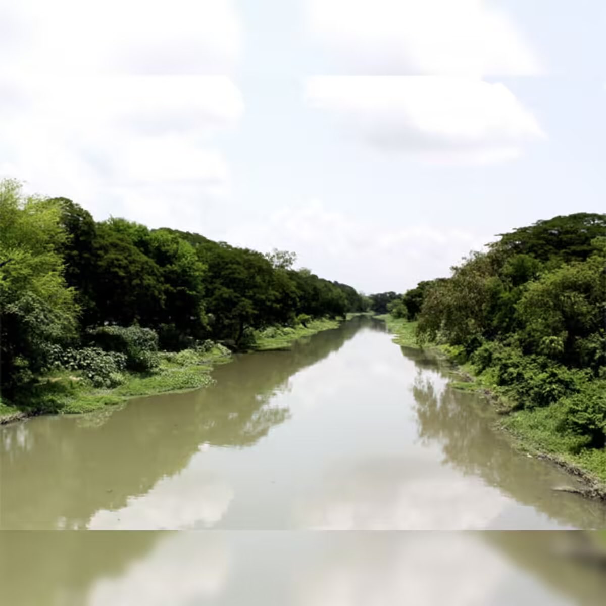 Kacha Kala tweet media