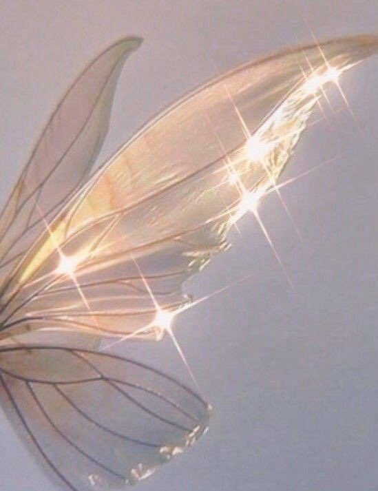 ur bae ✿ tweet media