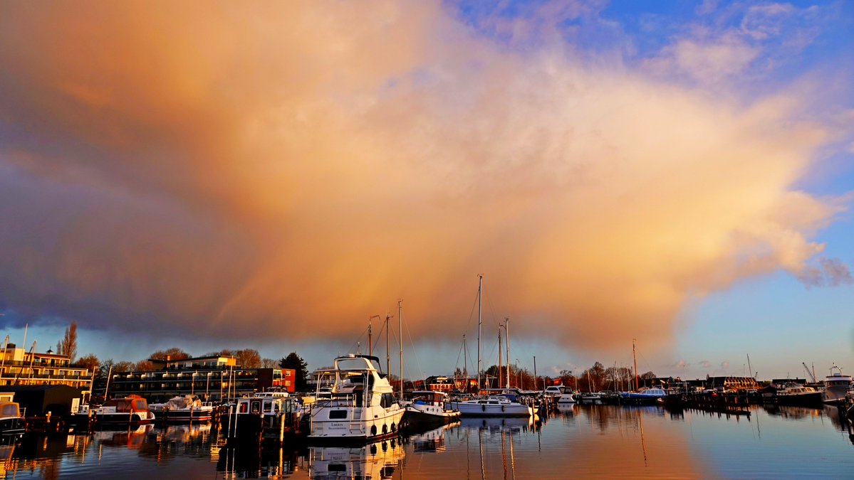 Buienradar tweet media