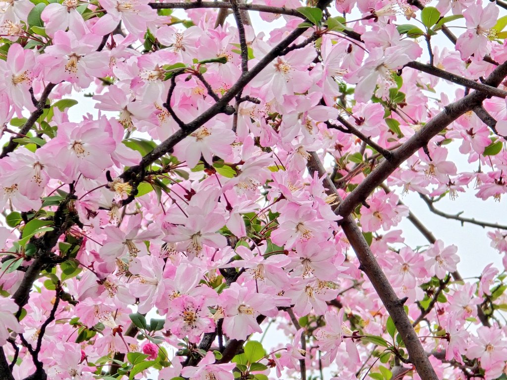 エメロン🐢🐈‍⬛ ͗🐌🦭(⚯̫ ﾐэ)Э🚪🌙🔎💐 tweet media