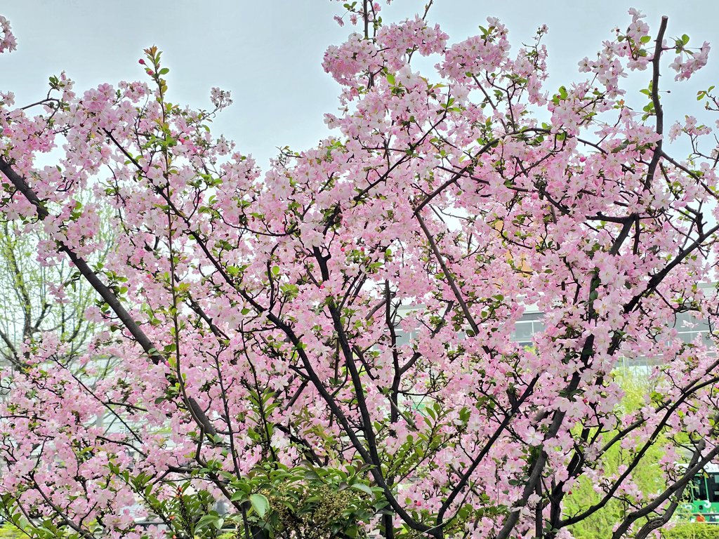 エメロン🐢🐈‍⬛ ͗🐌🦭(⚯̫ ﾐэ)Э🚪🌙🔎💐 tweet media