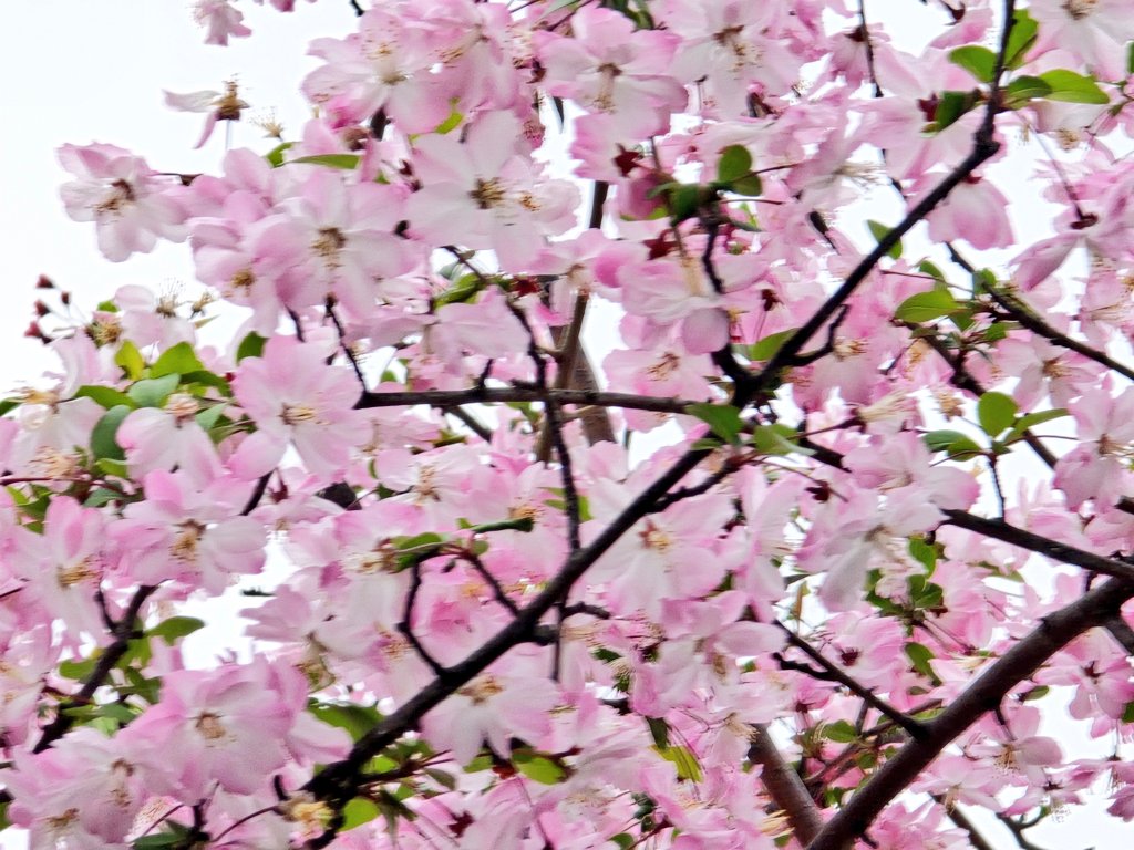 エメロン🐢🐈‍⬛ ͗🐌🦭(⚯̫ ﾐэ)Э🚪🌙🔎💐 tweet media