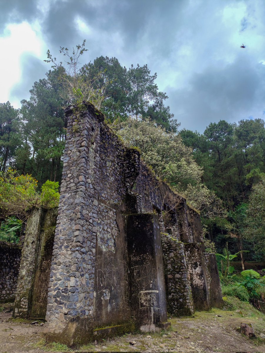 정해인 tweet media