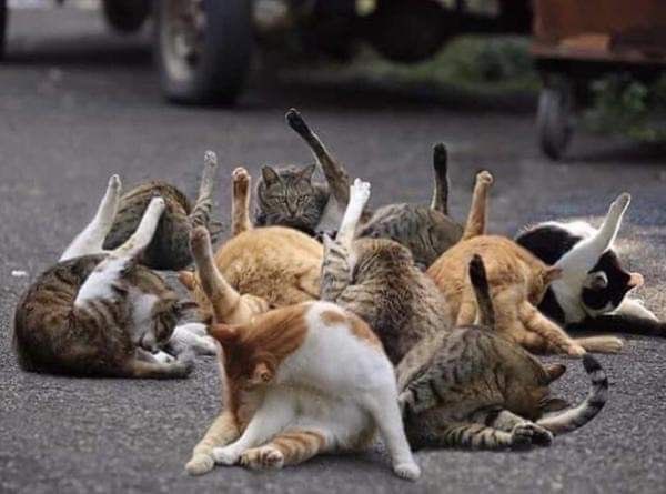 みな しふく🪞🌏 tweet media