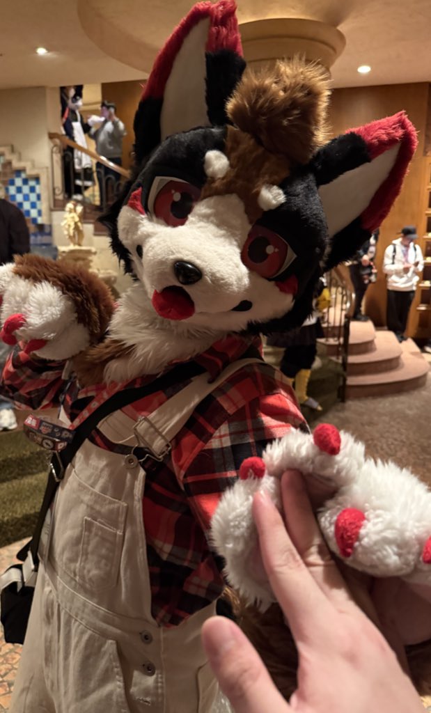 치곰 チゴマ 🐻‍❄️🍰🔜JMoF 2027? tweet media