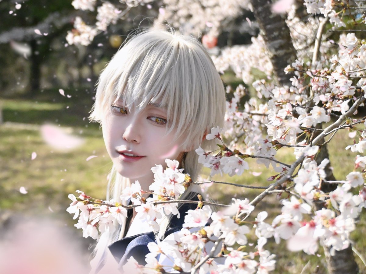 晴楽(セラ) tweet media