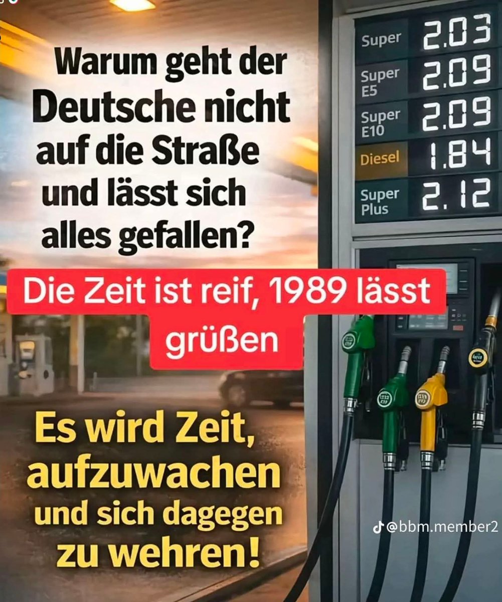 Frank the Tank tweet media