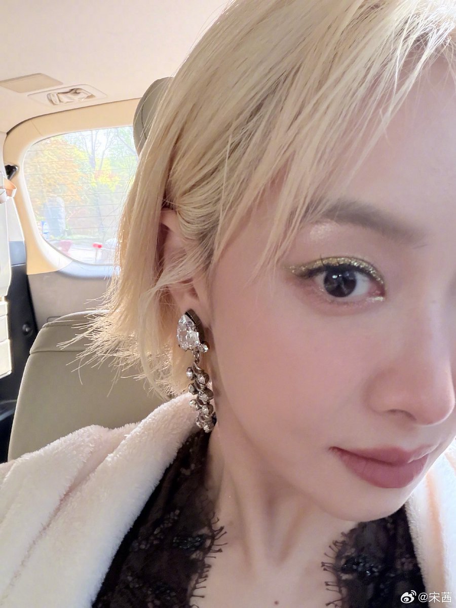 𝒗𝒊𝒄𝒕𝒐𝒓𝒊𝒂 𝒂𝒓𝒄𝒉𝒊𝒗𝒆 宋茜 tweet media