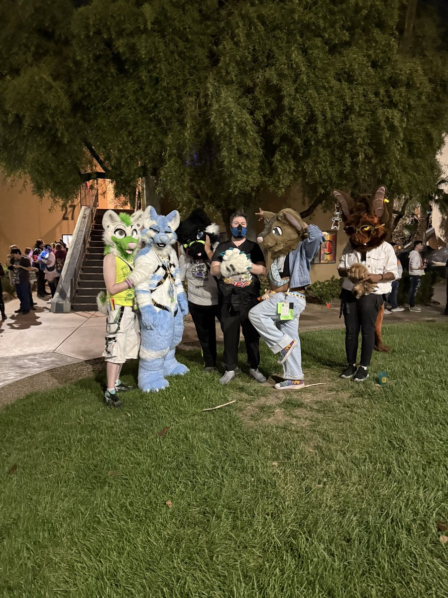 Asta The Blue Wolf -LVFC 2026 tweet media