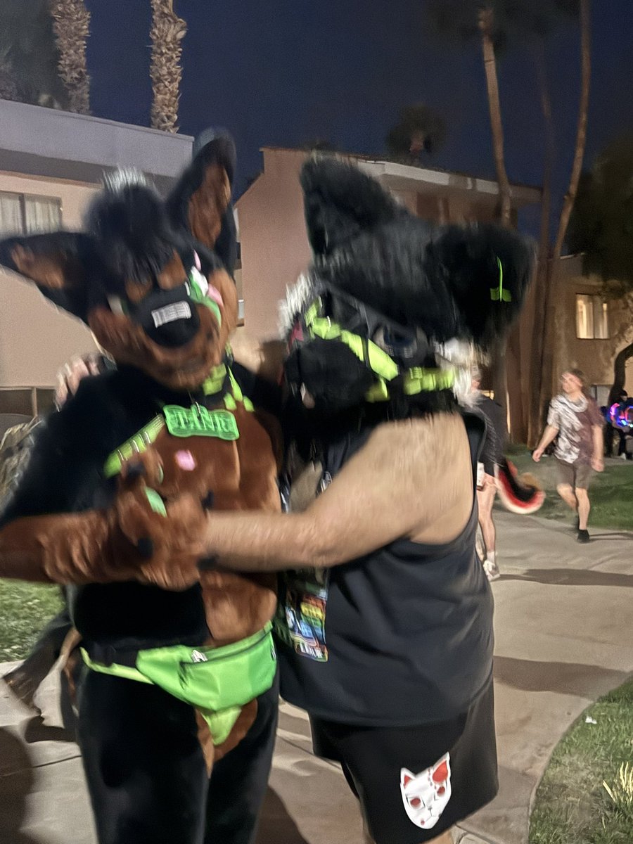 Asta The Blue Wolf -LVFC 2026 tweet media