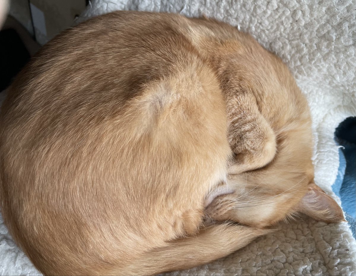 ＴＫ（たかこ）🐾🐾 tweet media