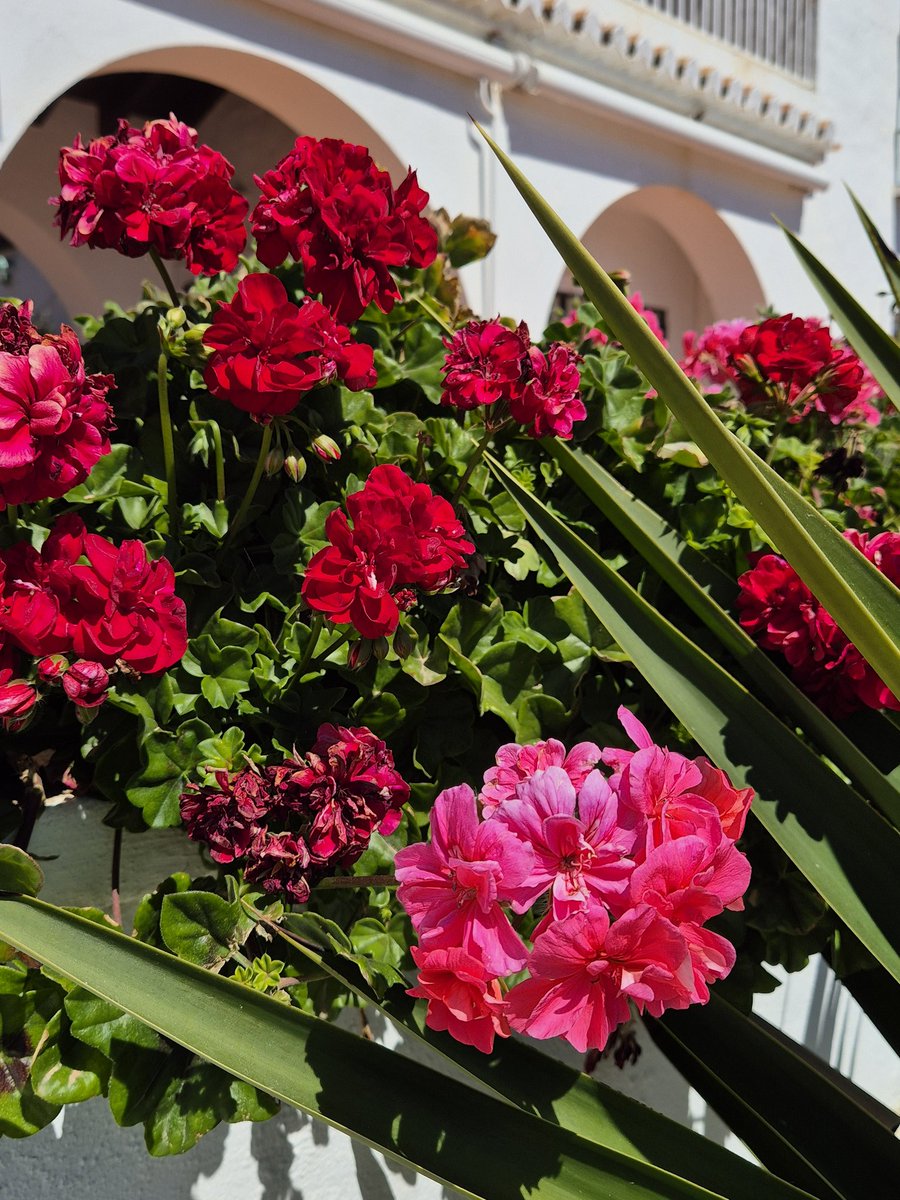 Ricardo Ruiz-Villaverde tweet media