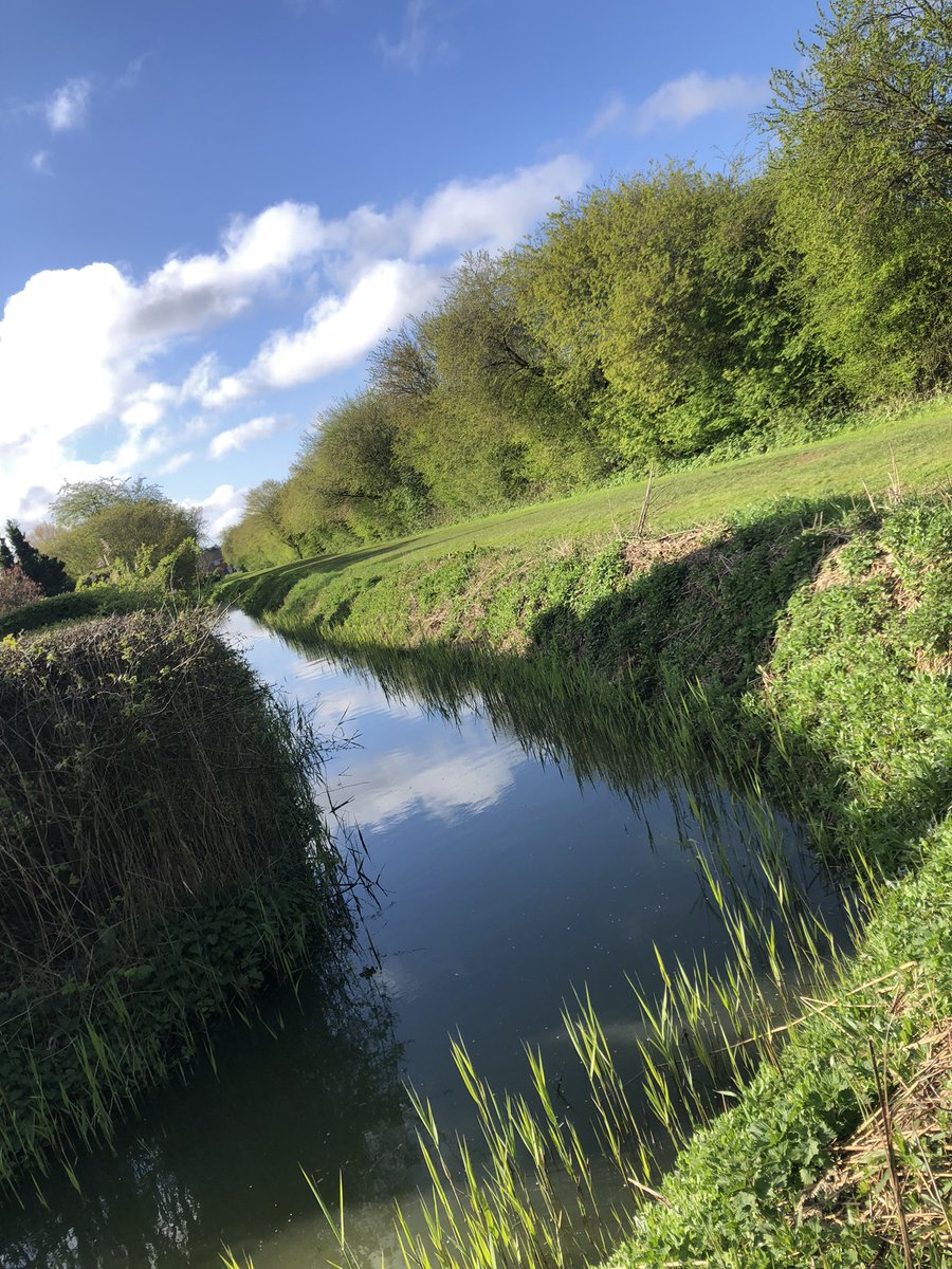 Sharpy@MrFarings tweet media