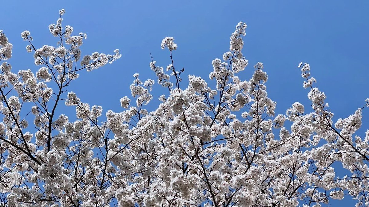 인간지내퀴저씨 tweet media