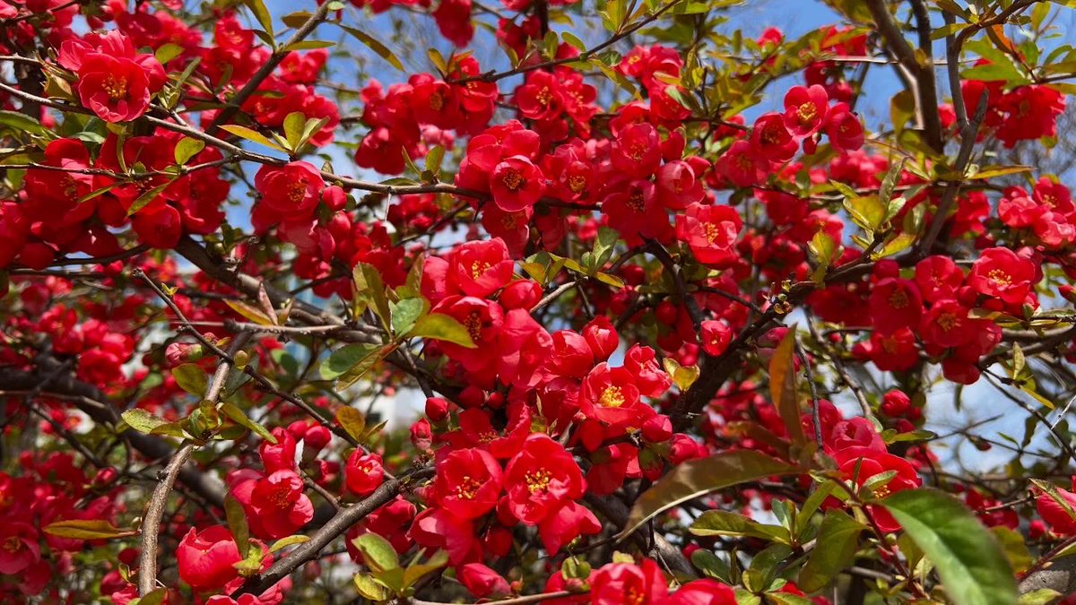 인간지내퀴저씨 tweet media