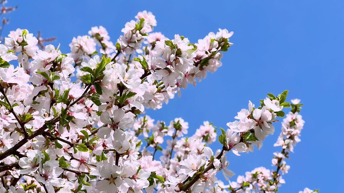 인간지내퀴저씨 tweet media