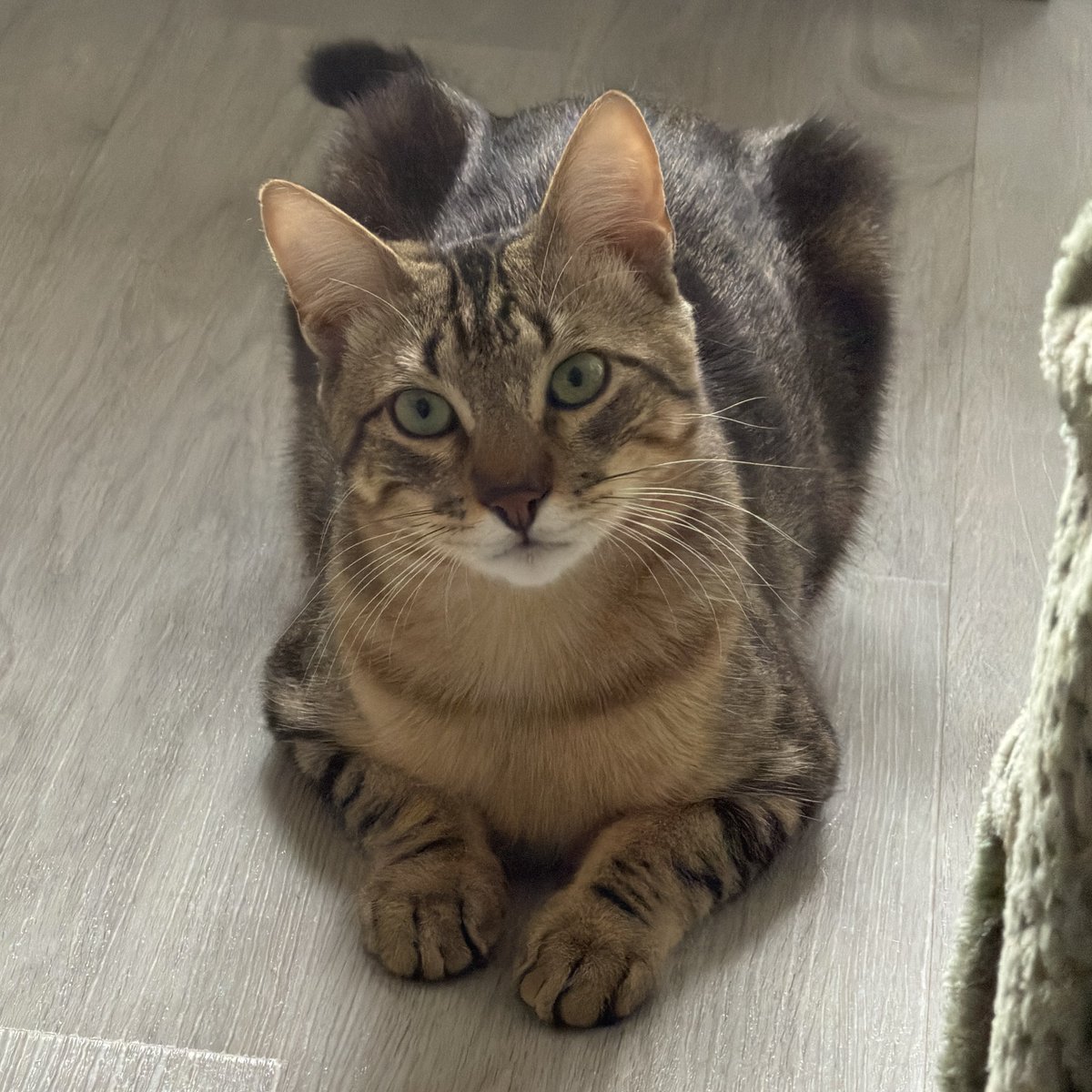 𓏲 miya tweet media