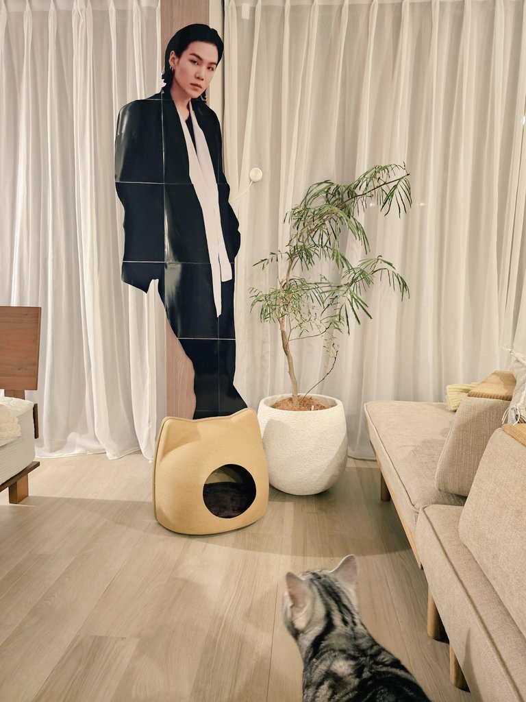 じぇいじぇい tweet media