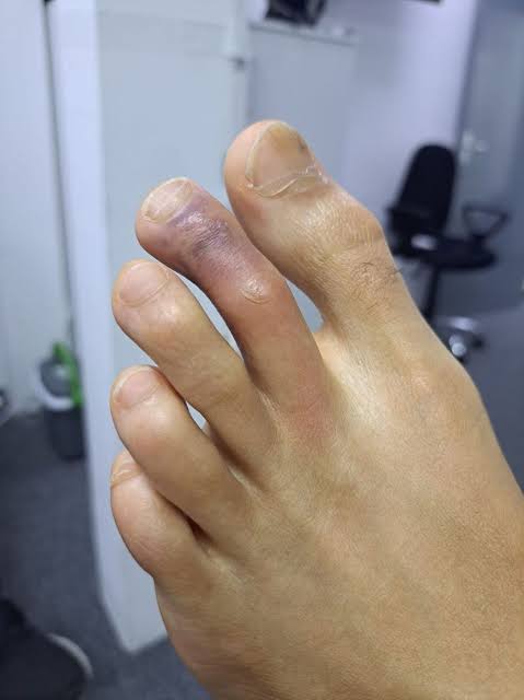 kvazistrucnjak tweet media