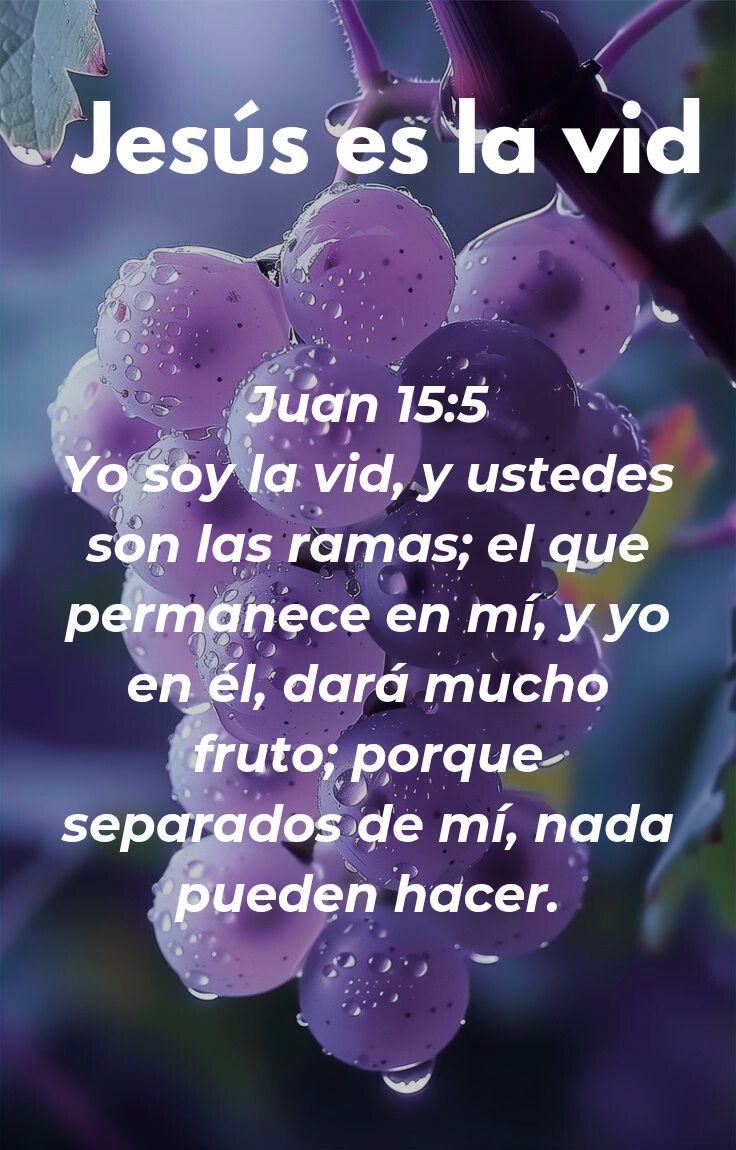 william Brito tweet media