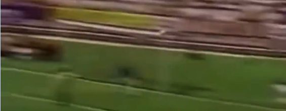 GreenGage tweet media