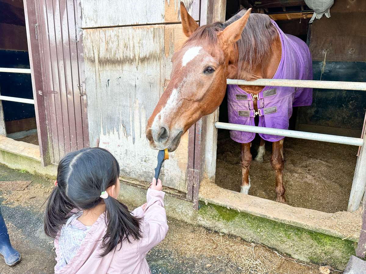 【公式】やまがたぐらし@山形の地域webメディア tweet media