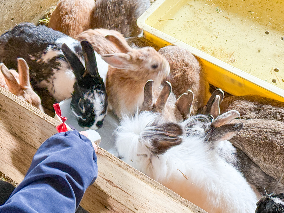 【公式】やまがたぐらし@山形の地域webメディア tweet media