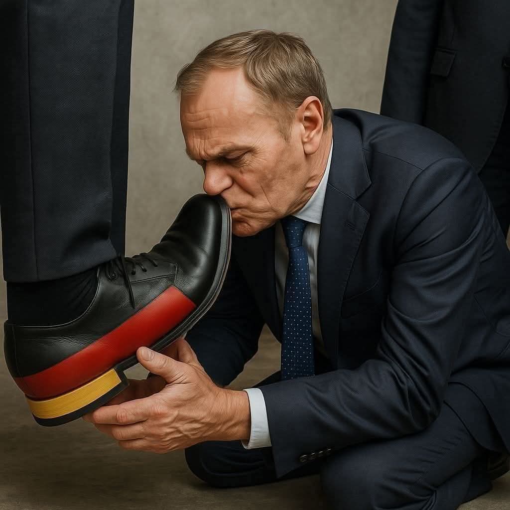 Mataboss 🇵🇱#KupujęwRepublice#WspieramRepublikę tweet media