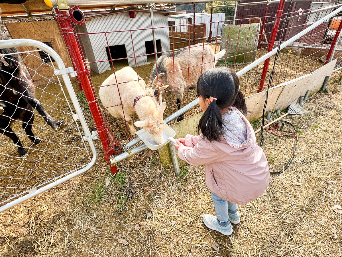 【公式】やまがたぐらし@山形の地域webメディア tweet media