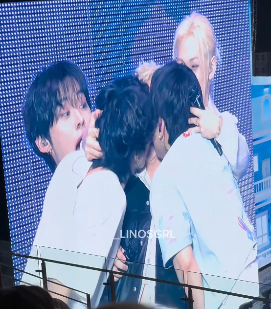 ❅ hae quokka VIO A SKZ tweet media