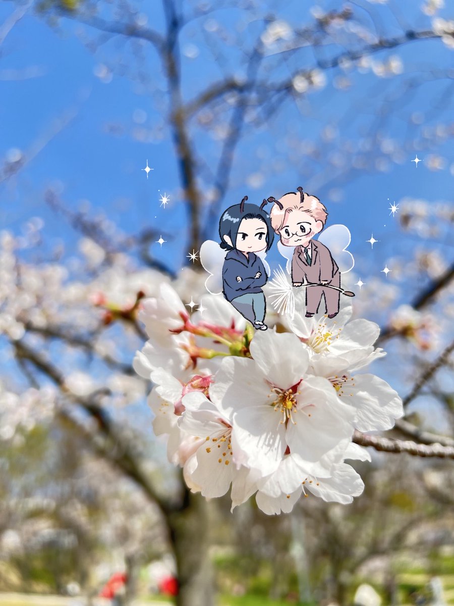 みちのくアタミ tweet media