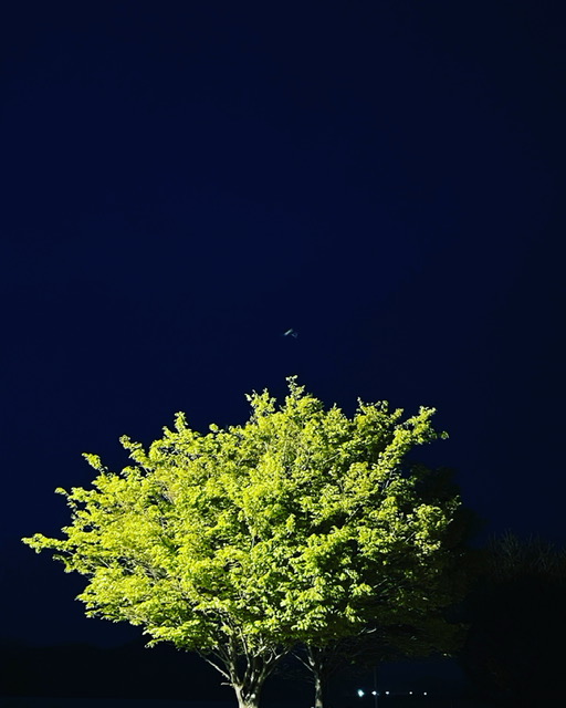 和合亮一 tweet media