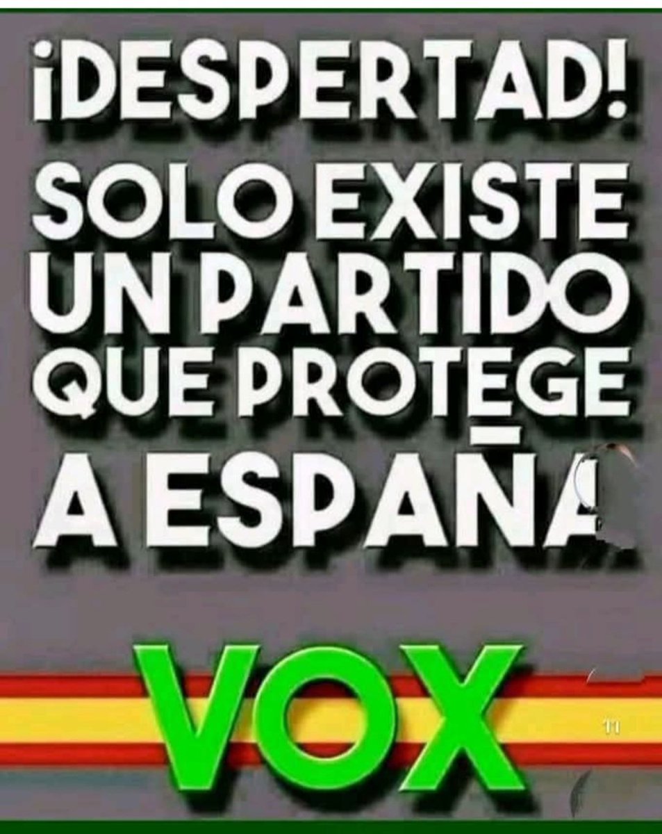 🇪🇸 Voz Discordante 🇪🇸 tweet media