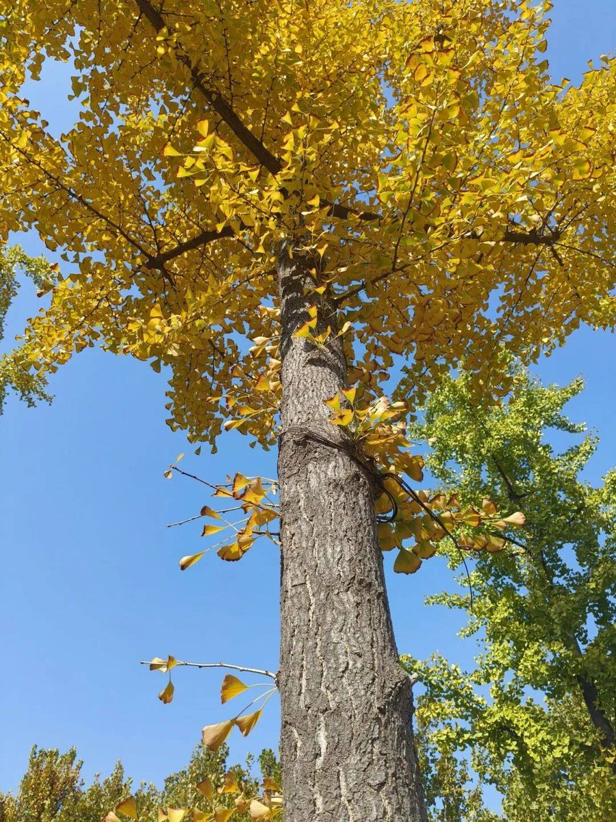 Sakthi Vel tweet media