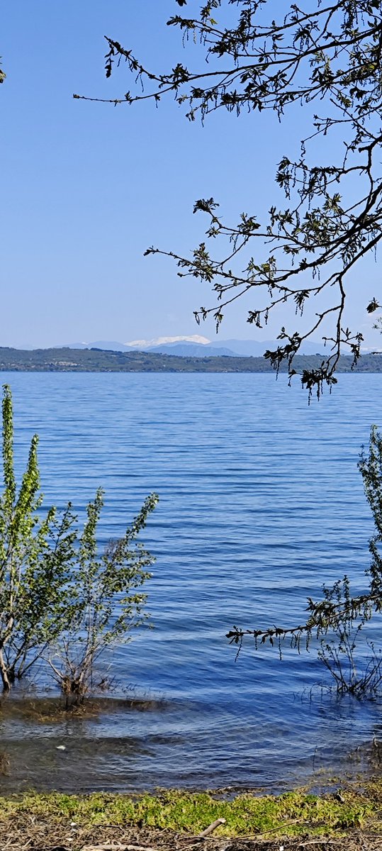 JordanGeo tweet media