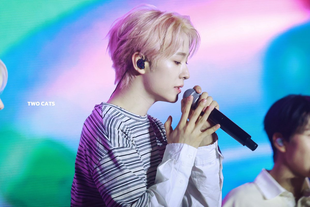 𝑻𝑾𝑶 𝑪𝑨𝑻𝑺 tweet media