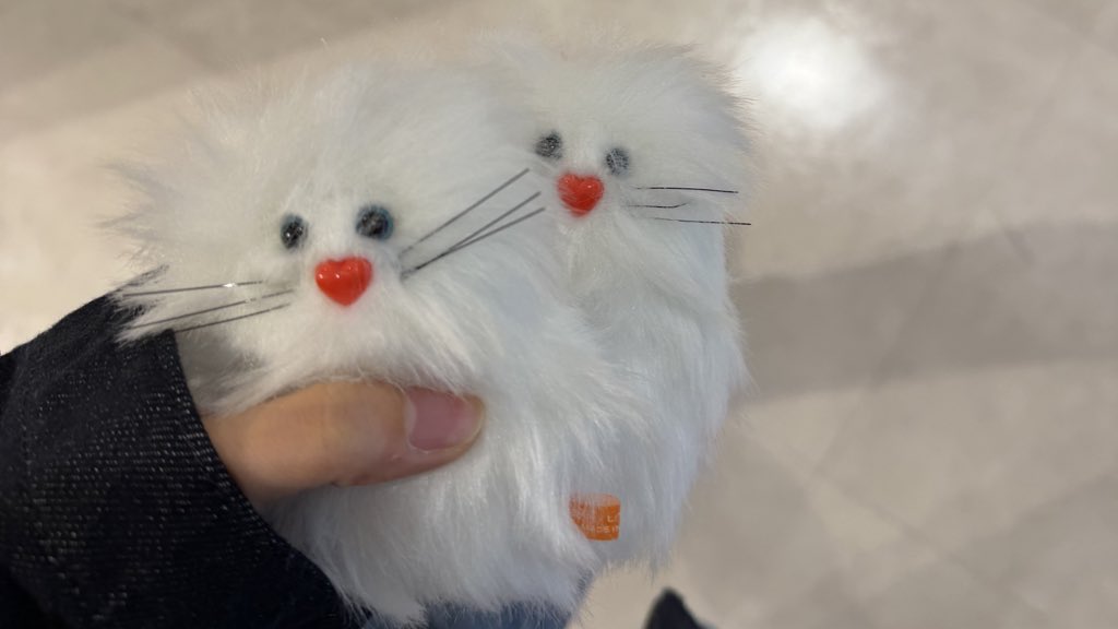 まるち🦊 tweet media