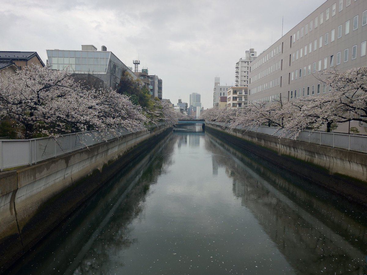 オカシラ tweet media