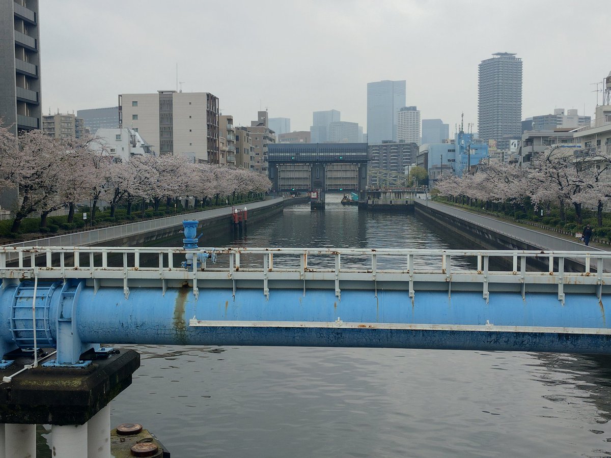 オカシラ tweet media